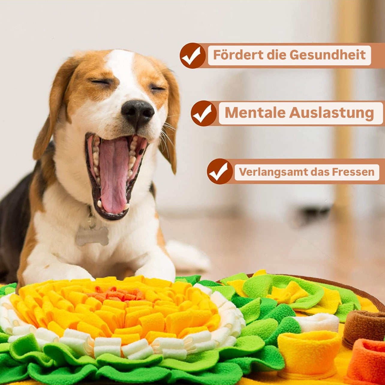 TraumPfoten - Schnüffelteppich