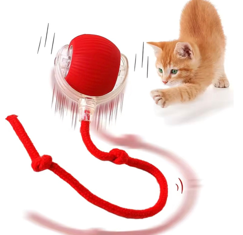 TraumPfoten - Interaktiver Katzenball