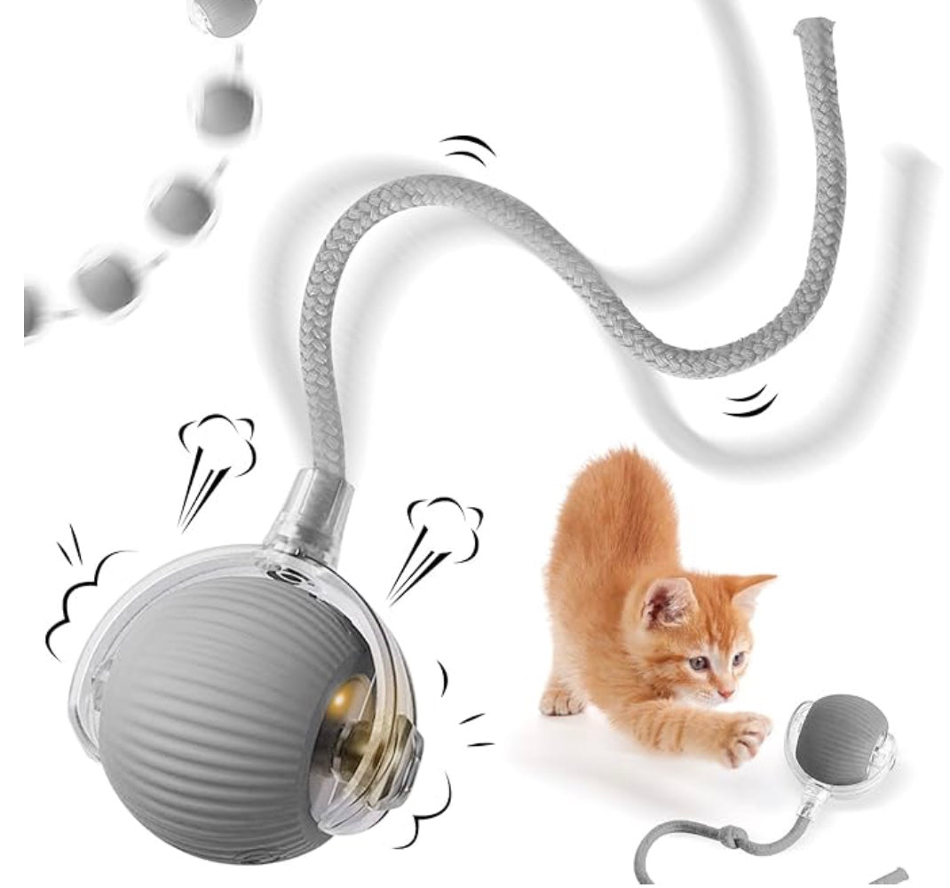 TraumPfoten - Interaktiver Katzenball