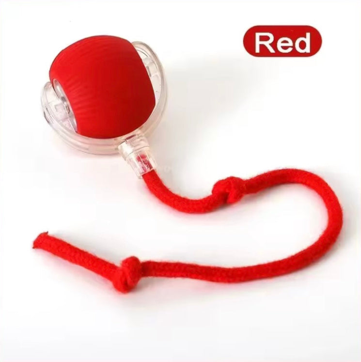 TraumPfoten - Interaktiver Katzenball