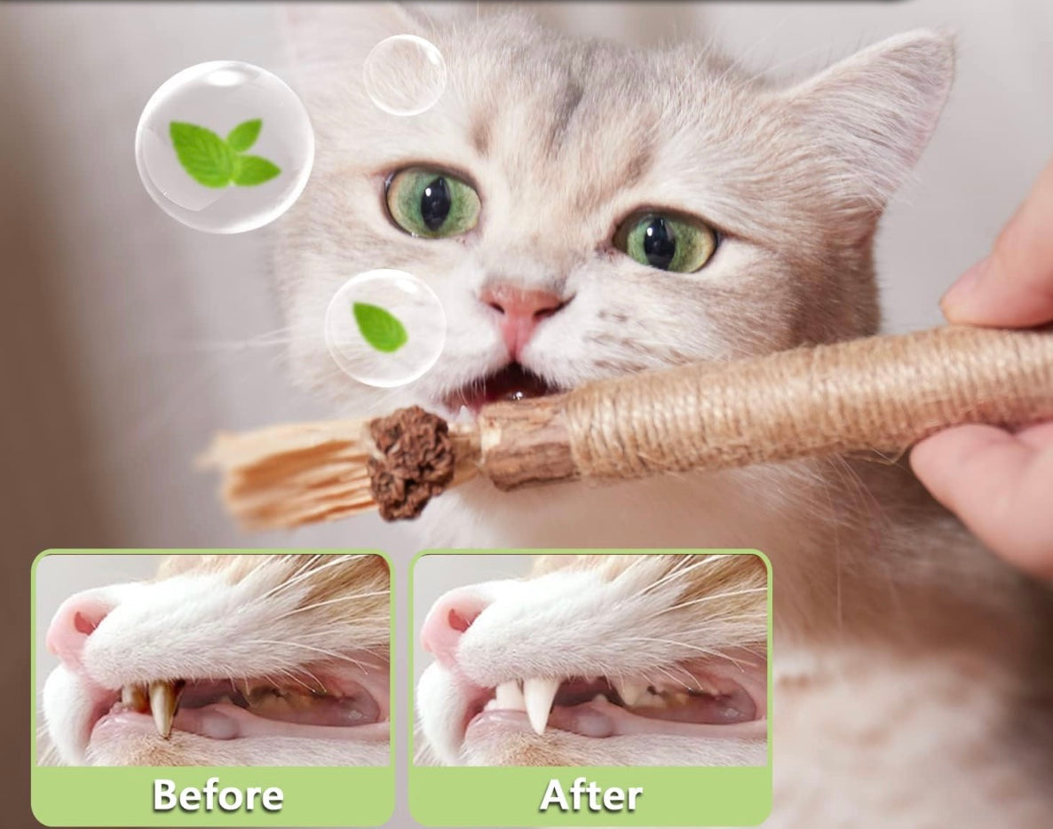 TraumPfoten - Zahnreinigende Knabberstange