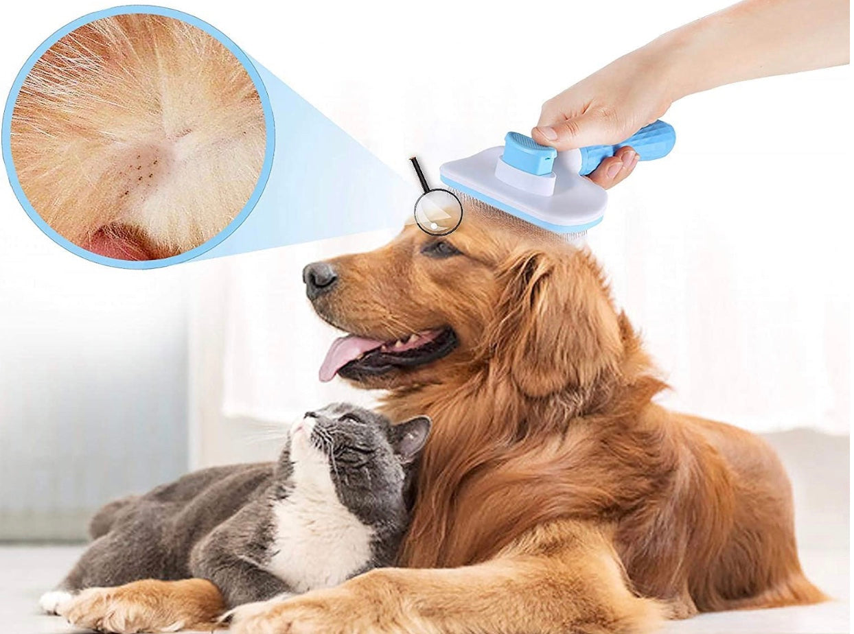 TraumPfoten - Fellbürste für Hund und Katze