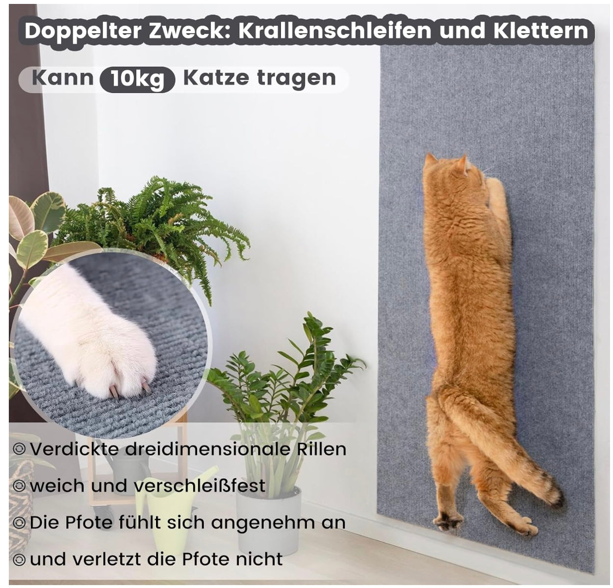 TraumPfoten - Selbstklebender Kratzschutz für Katzen