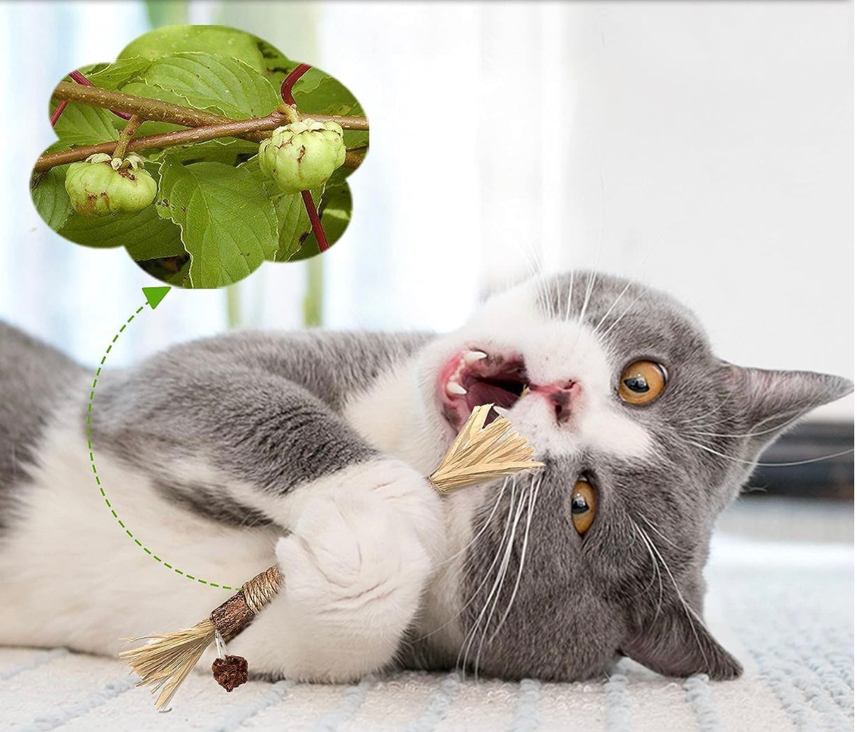 TraumPfoten - Zahnreinigende Knabberstange