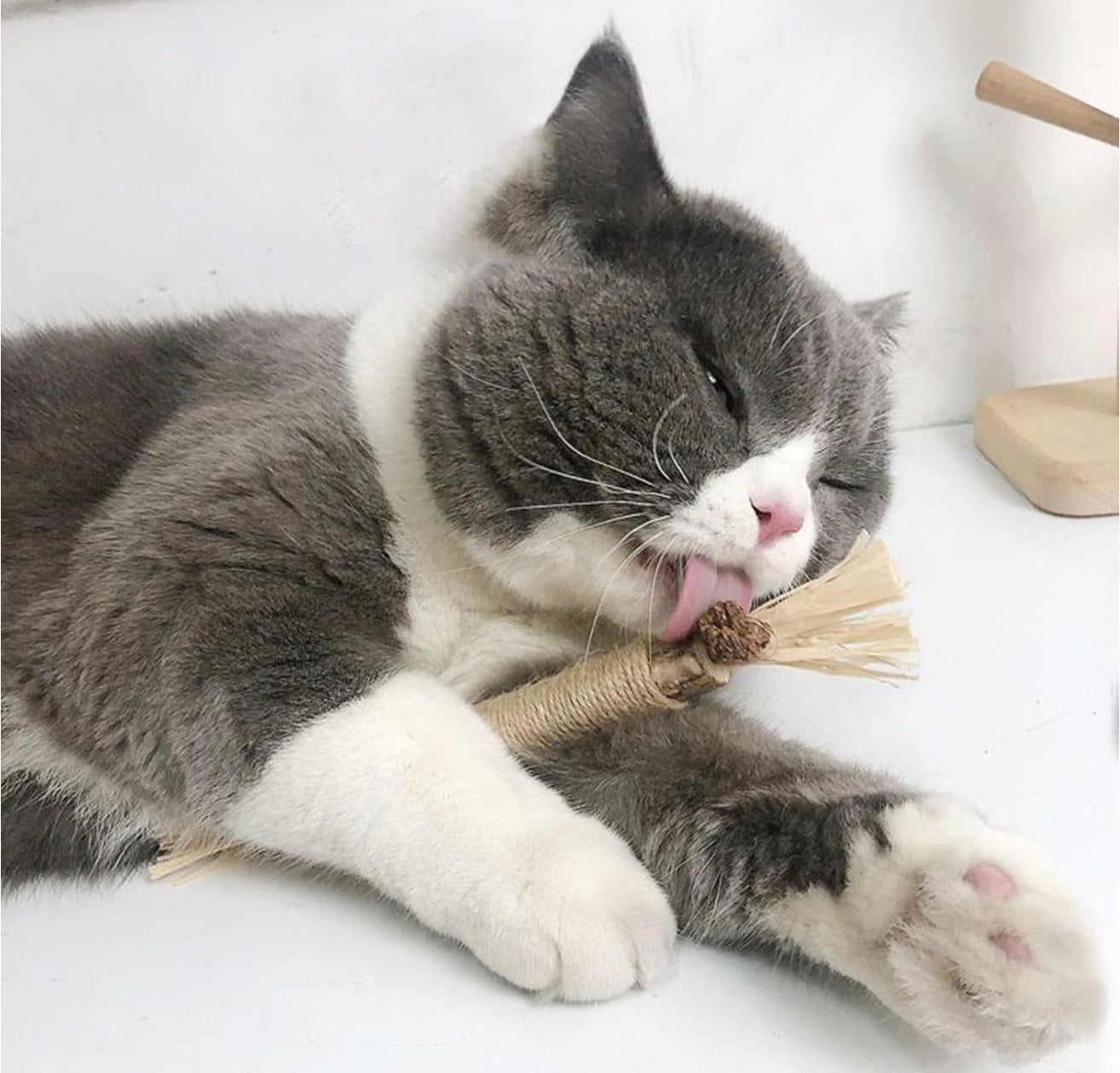 TraumPfoten - Zahnreinigende Knabberstange