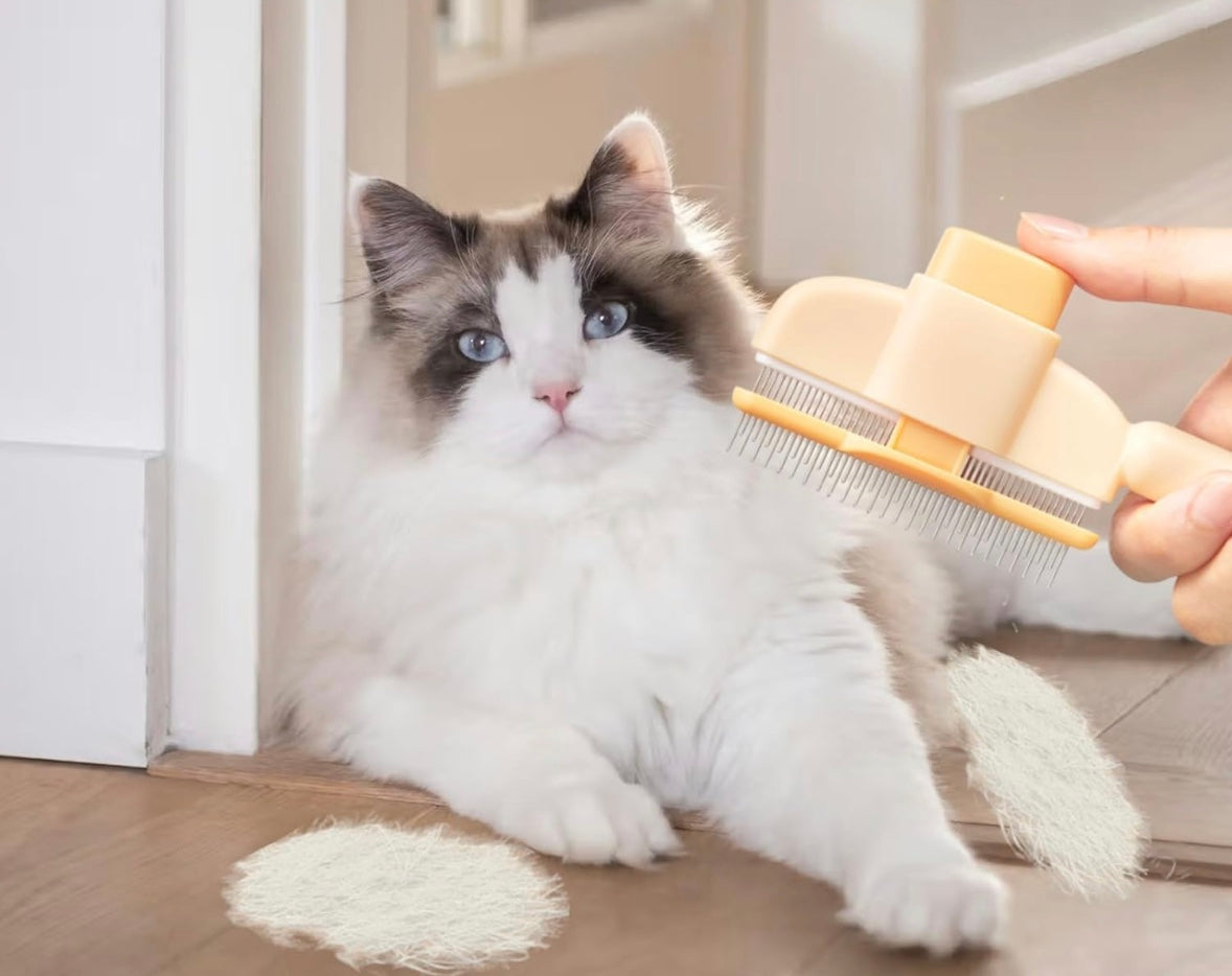 TraumPfoten Fellblitz Bürste