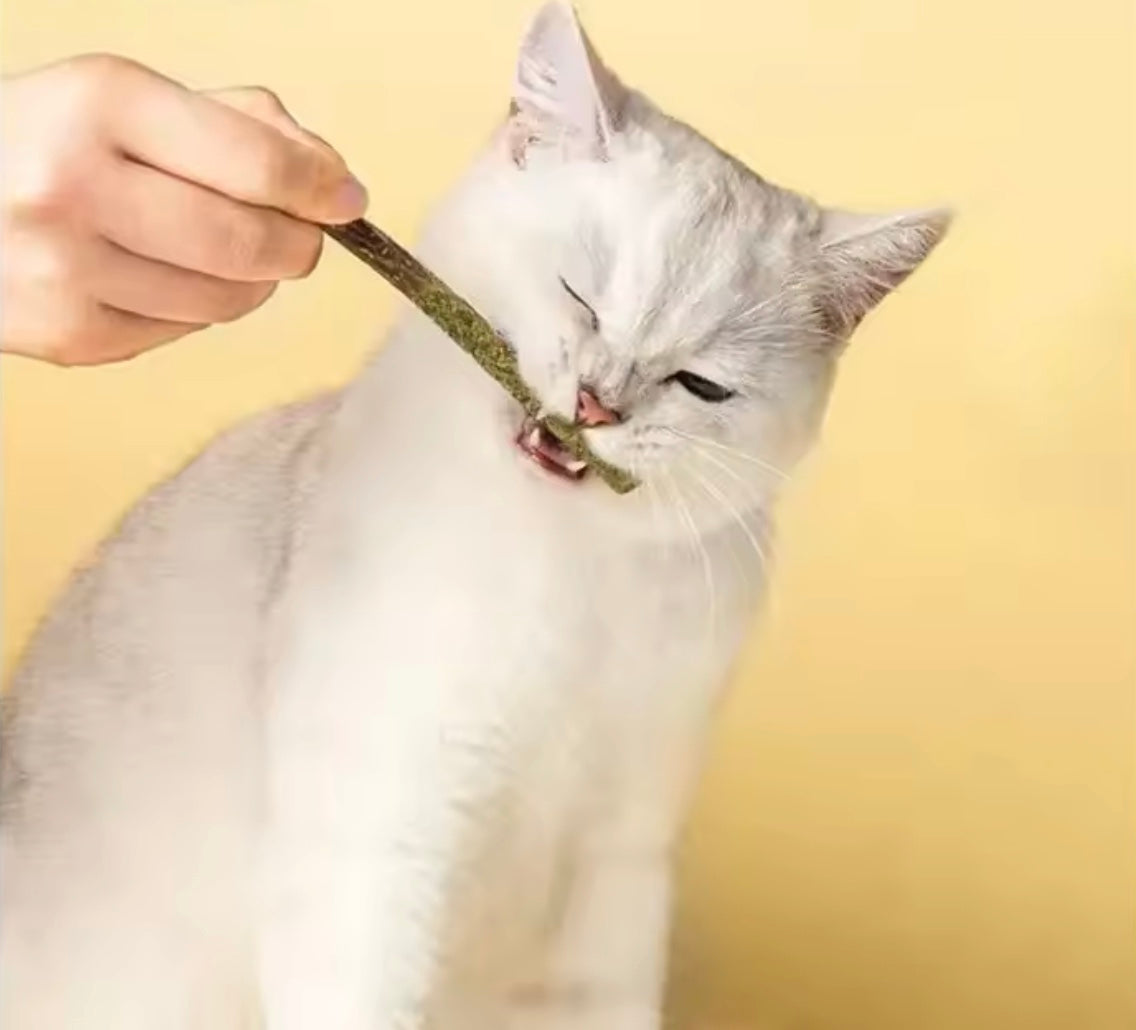 Traumpfoten - Katzenminze Sticks