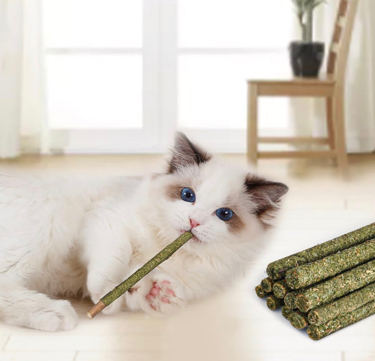 Traumpfoten - Katzenminze Sticks