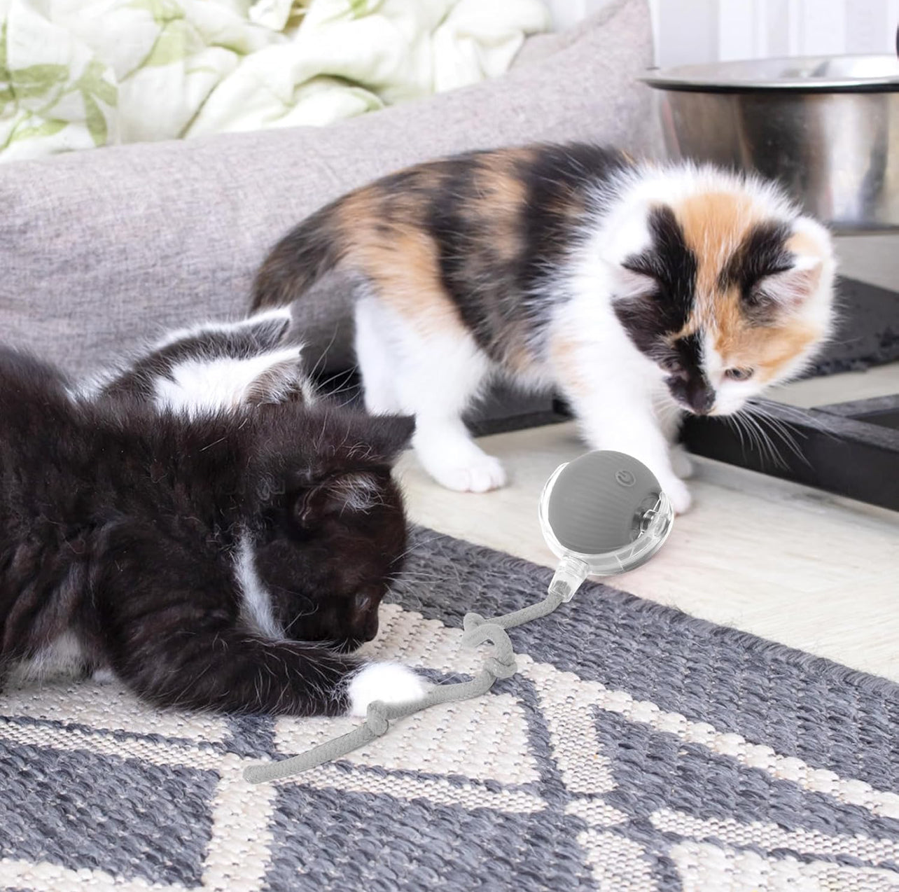 TraumPfoten - Interaktiver Katzenball