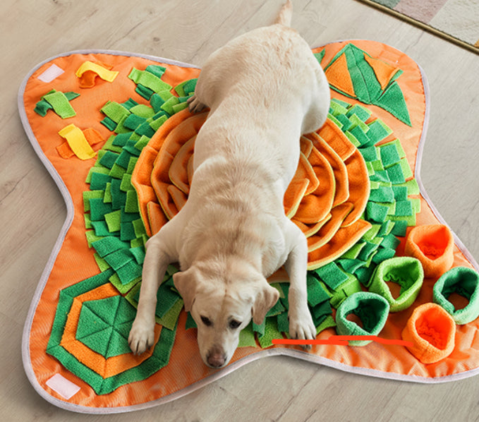 TraumPfoten - Schnüffelteppich