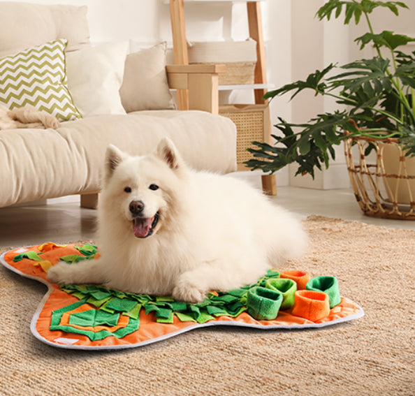 TraumPfoten - Schnüffelteppich